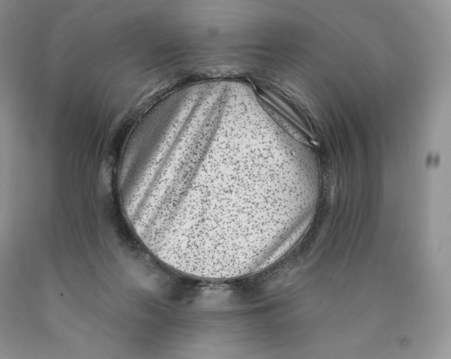X0000089940214200707271825