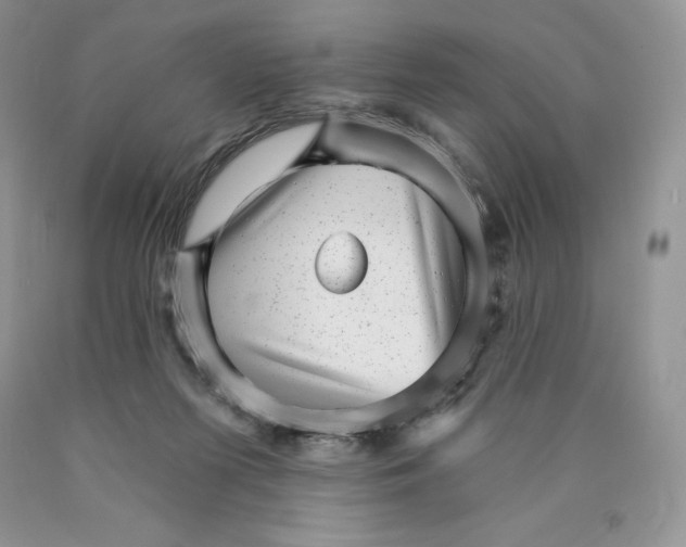 X0000089940215200707271825