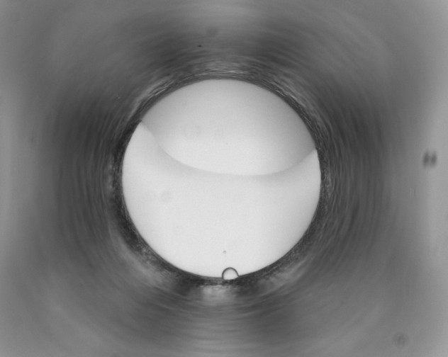 X0000089940216200707271825