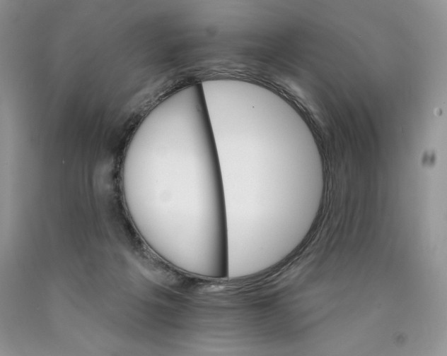 X0000089940217200707271825