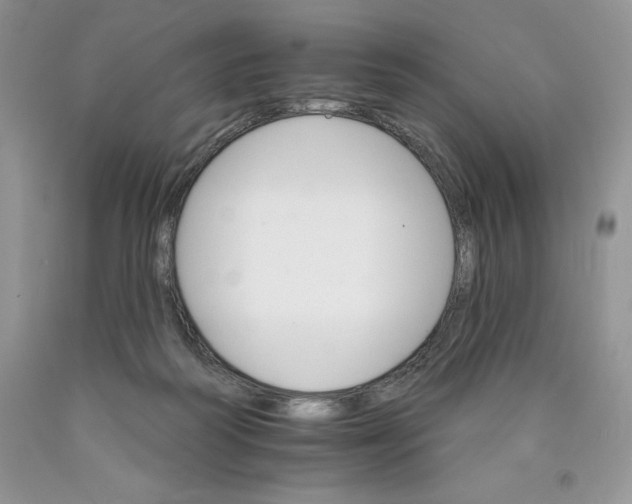 X0000089940218200707271825