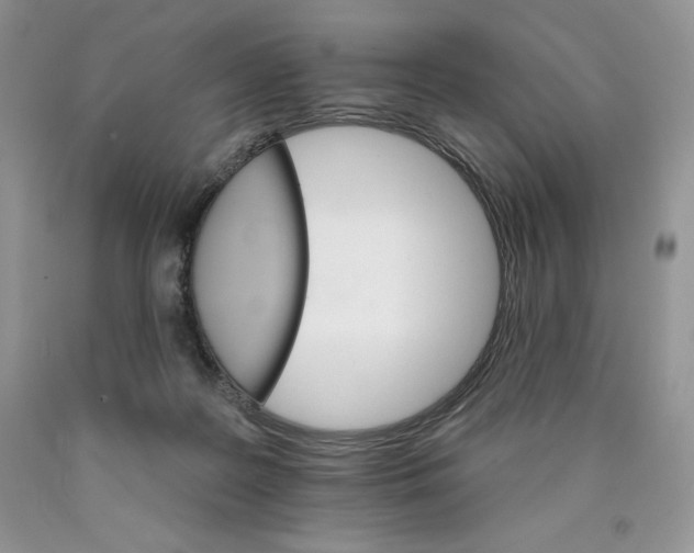 X0000089940219200707271825