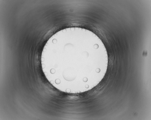 X0000089940220200707271825