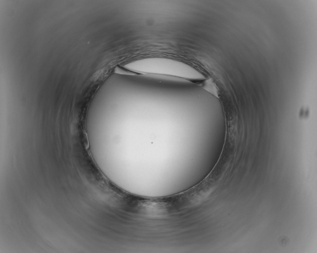 X0000089940221200707271825