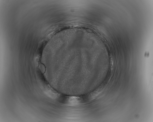 X0000089940222200707271825