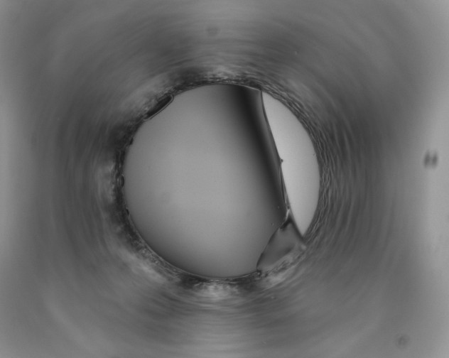 X0000089940223200707271825