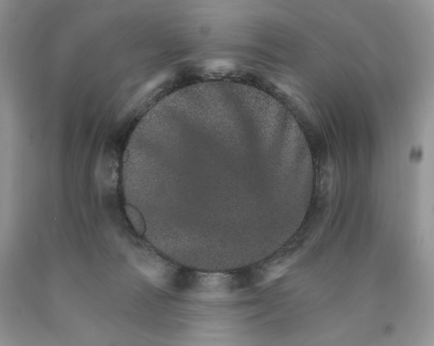X0000089940226200707271825