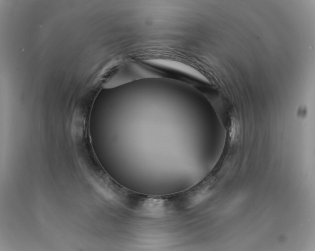 X0000089940227200707271825