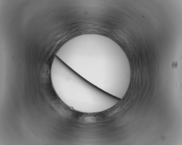 X0000089940228200707271825