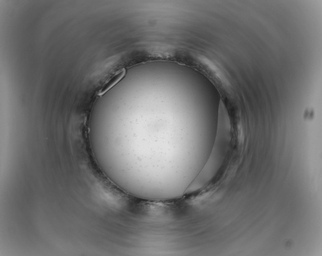 X0000089940229200707271825