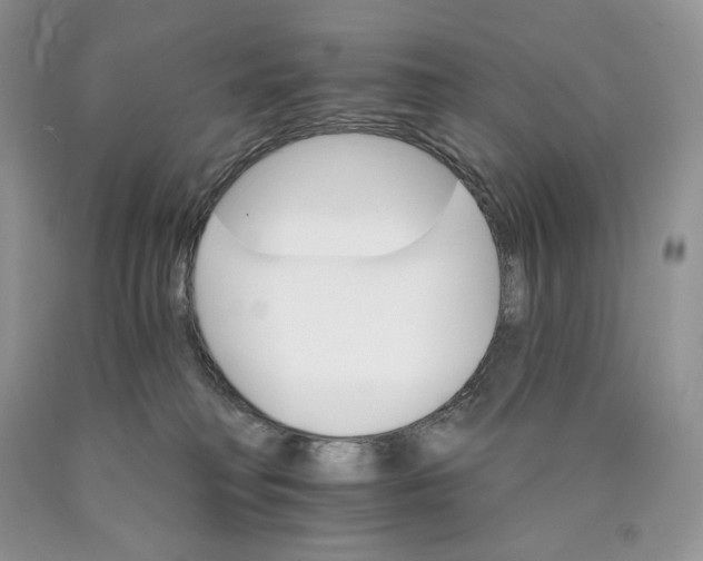 X0000089940230200707271825