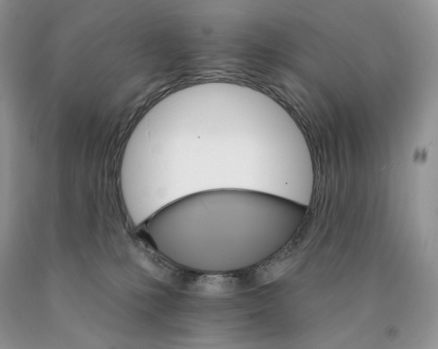 X0000089940231200707271825