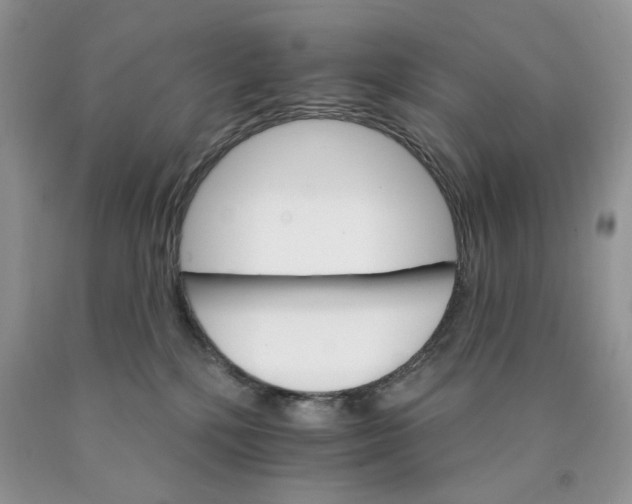 X0000089940232200707271825