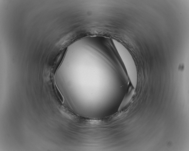 X0000089940233200707271825