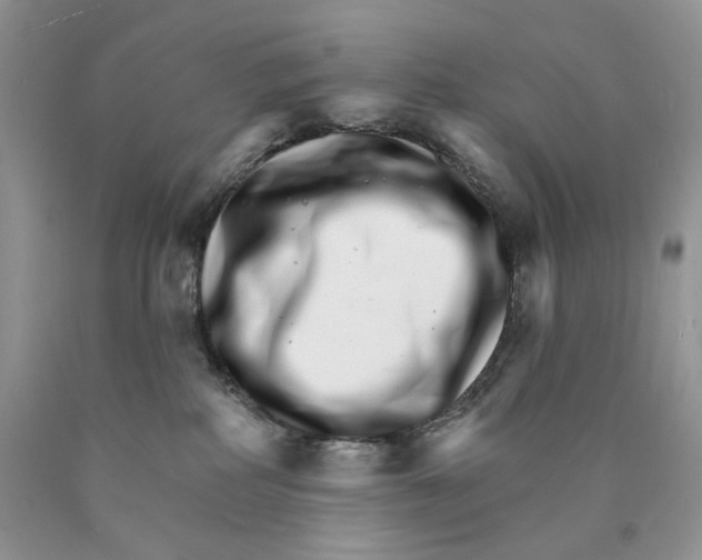 X0000089940234200707271825