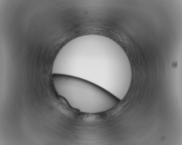 X0000089940235200707271825