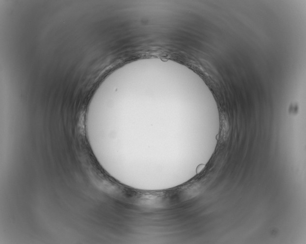 X0000089940236200707271825
