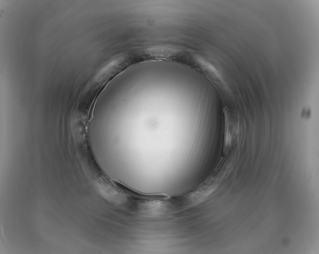 X0000089940237200707271825
