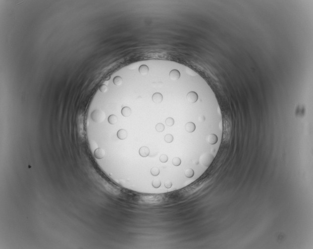 X0000089940238200707271825