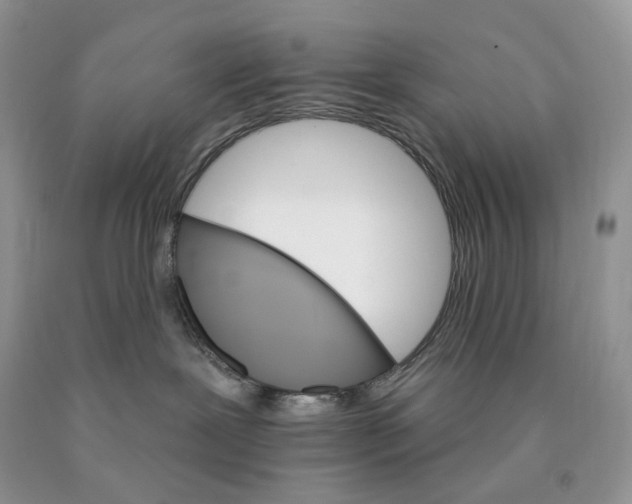 X0000089940239200707271825
