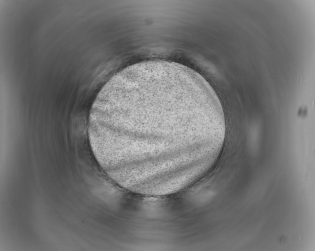 X0000089940240200707271825