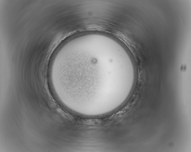 X0000089940241200707271824