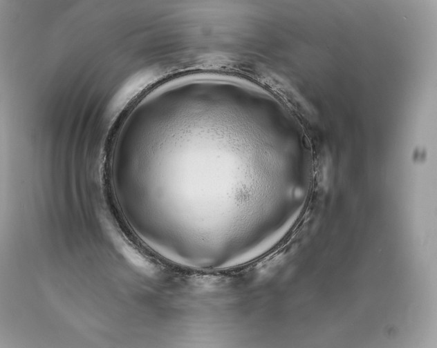 X0000089940242200707271824