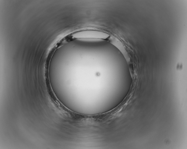 X0000089940244200707271824