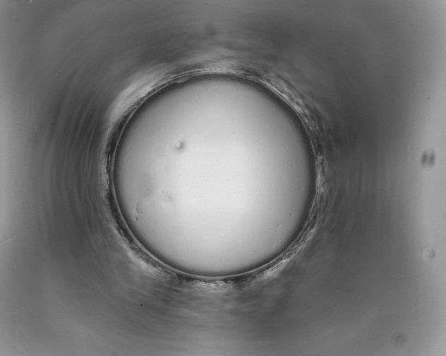 X0000089940245200707271824