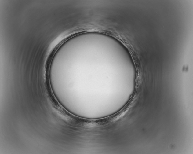 X0000089940246200707271824
