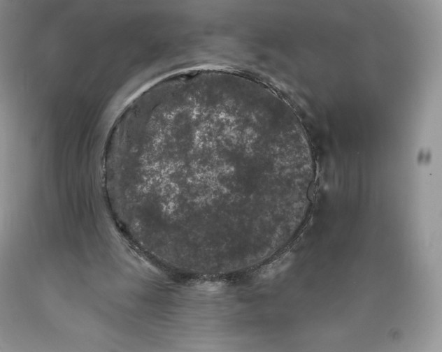 X0000089940247200707271824