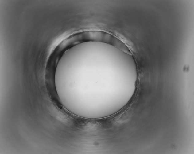 X0000089940248200707271824