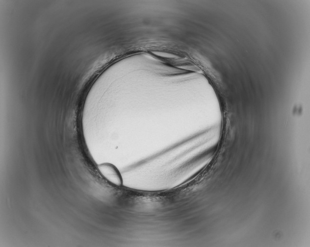 X0000089940250200707271824