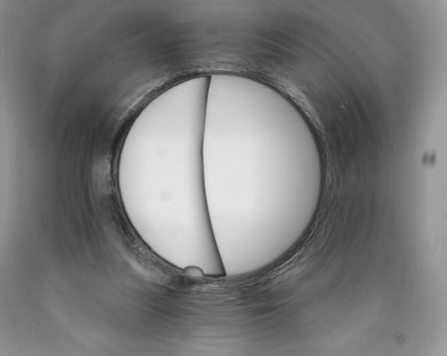 X0000089940251200707271824