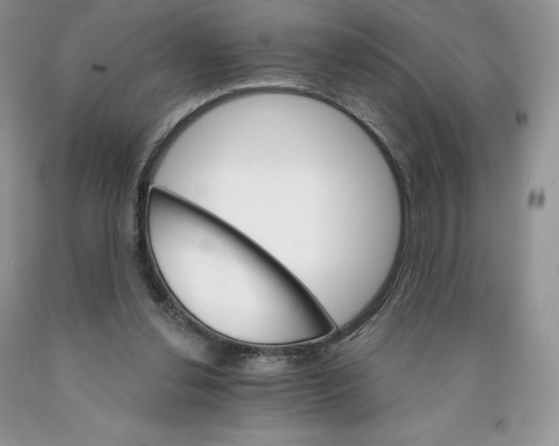 X0000089940252200707271824