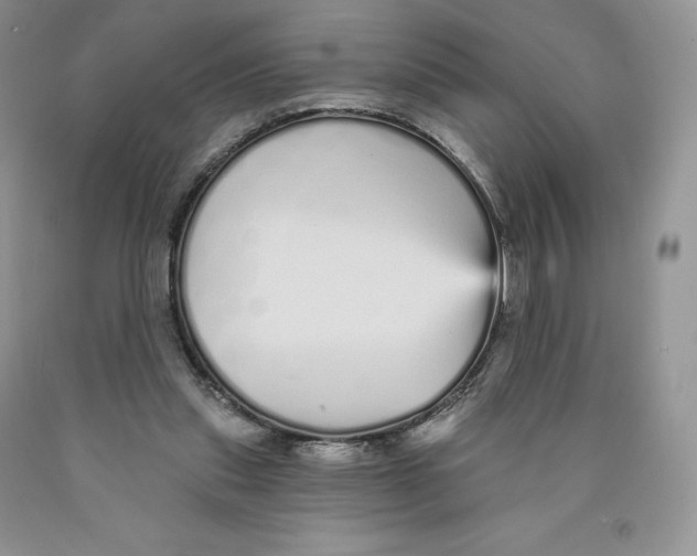 X0000089940253200707271824