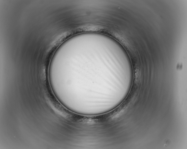 X0000089940254200707271824