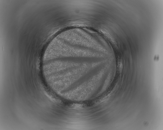 X0000089940255200707271824