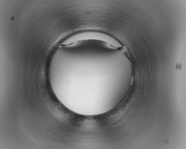 X0000089940256200707271824