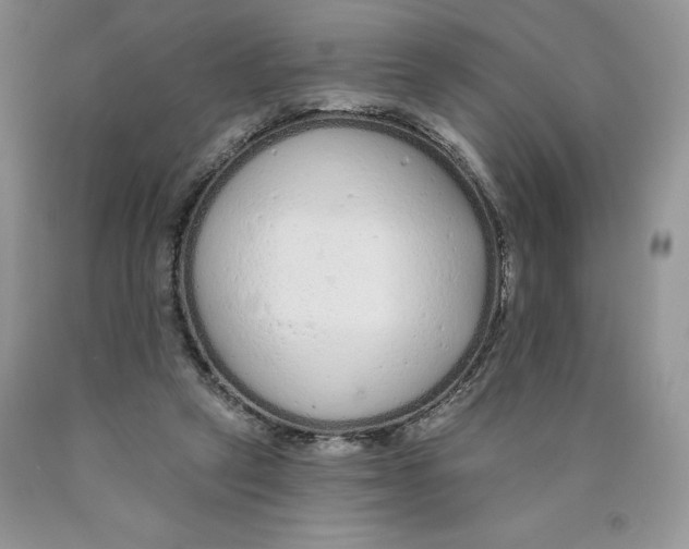 X0000089940257200707271824