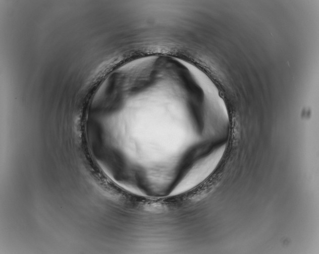 X0000089940258200707271824