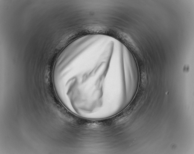 X0000089940259200707271824