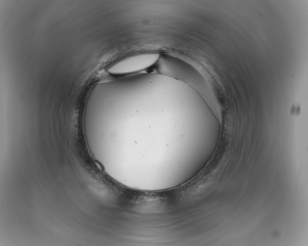X0000089940260200707271824