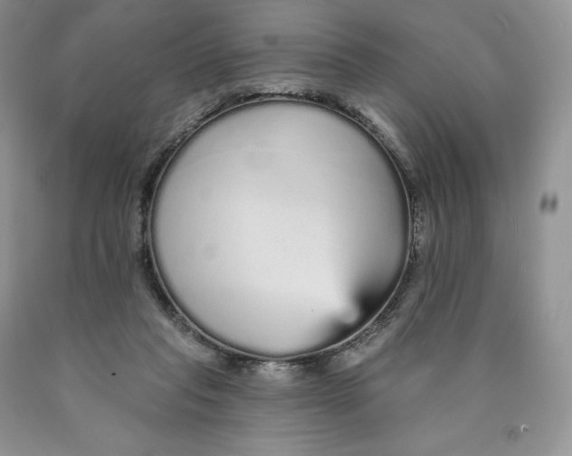 X0000089940261200707271824