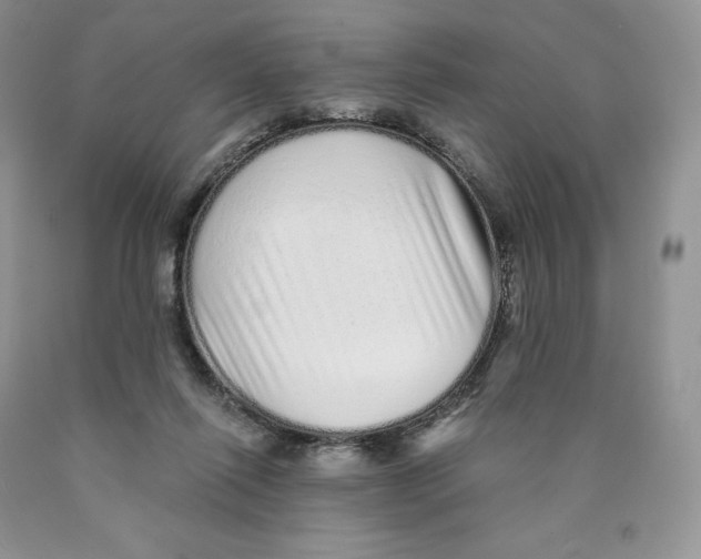X0000089940262200707271824