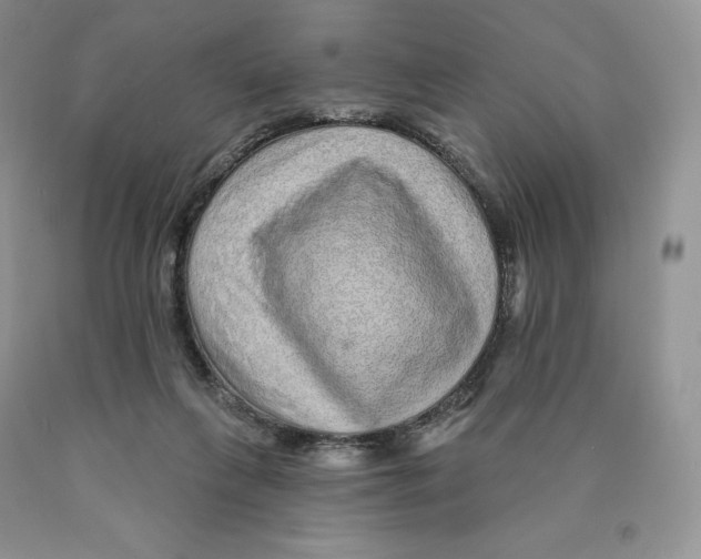 X0000089940263200707271824