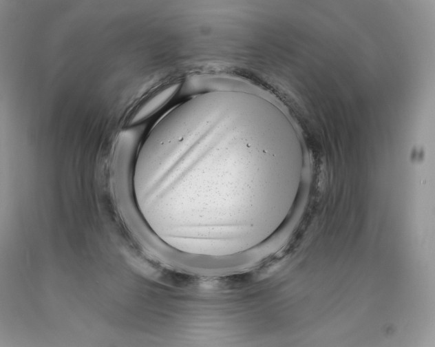 X0000089940264200707271824
