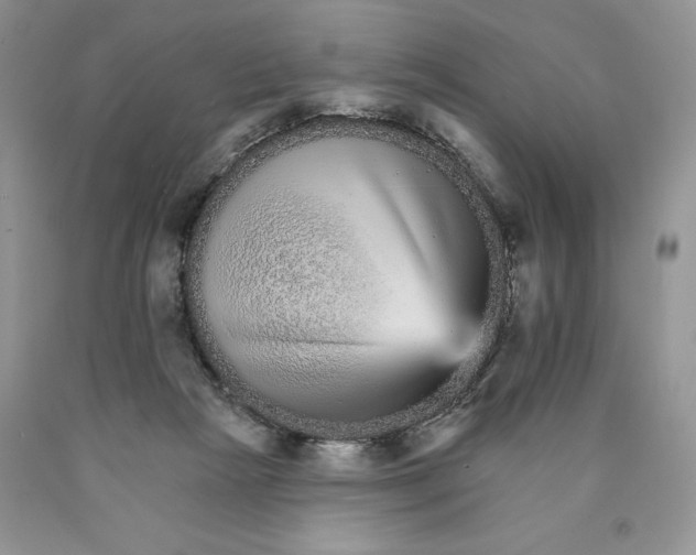 X0000089940265200707271824