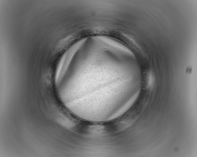 X0000089940266200707271824