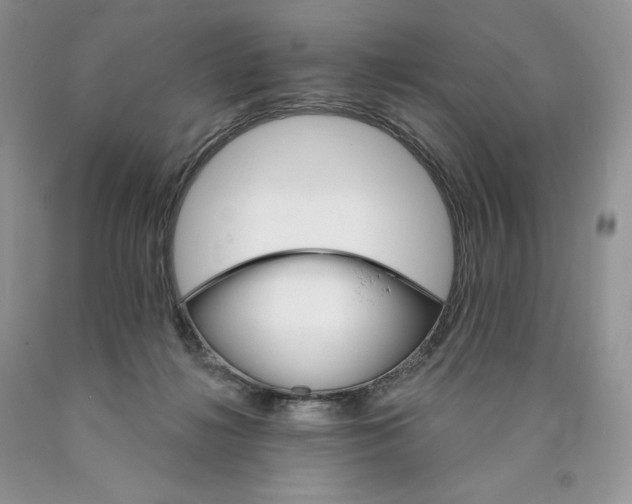X0000089940268200707271824